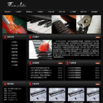 编号5013 乐器制造企业网站